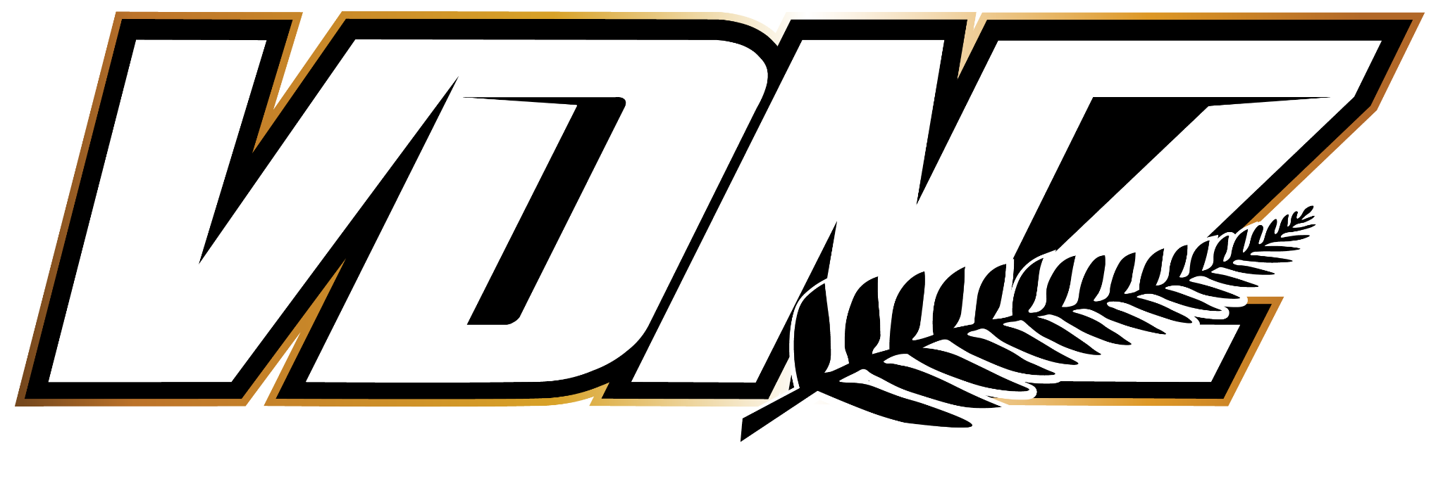 VDNZ